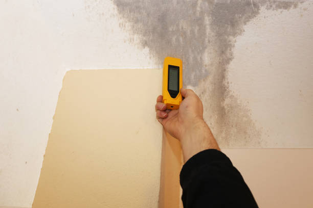 Best Dehumidification Services  in Jupiter Farms, FL