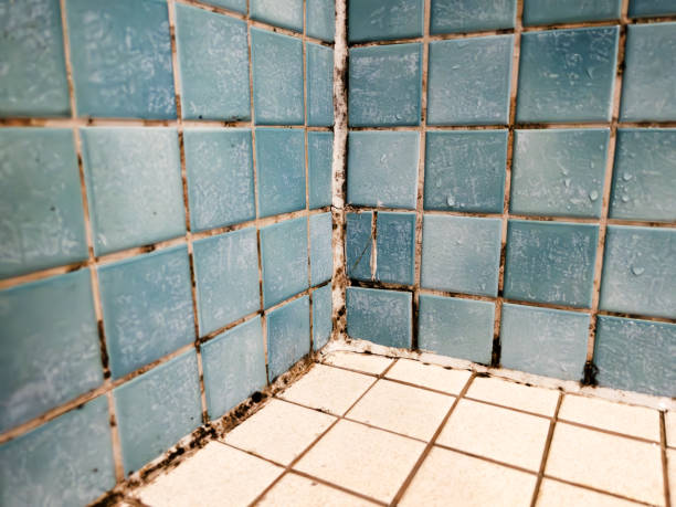 Best Air Quality Testing for Mold Spores  in Jupiter Farms, FL