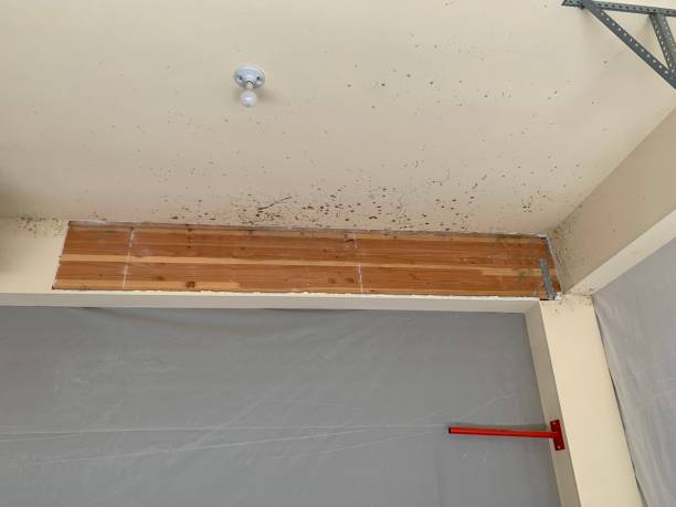 Best Indoor Air Quality Assessment  in Jupiter Farms, FL